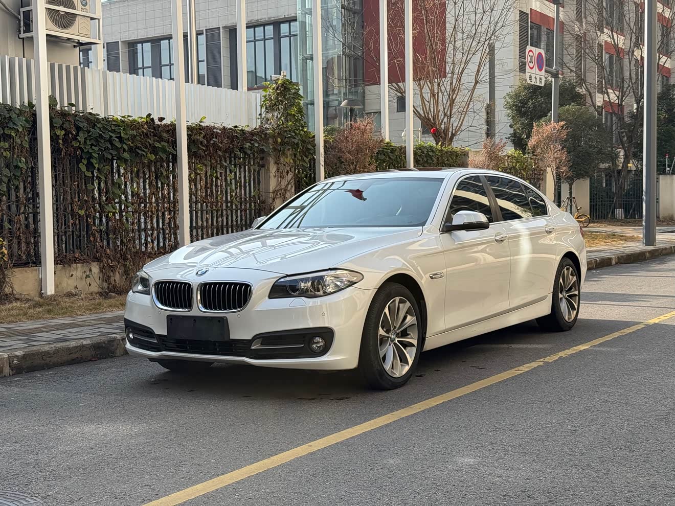 BMW 5 Series 2016 BMW 5 Series 2016 car image