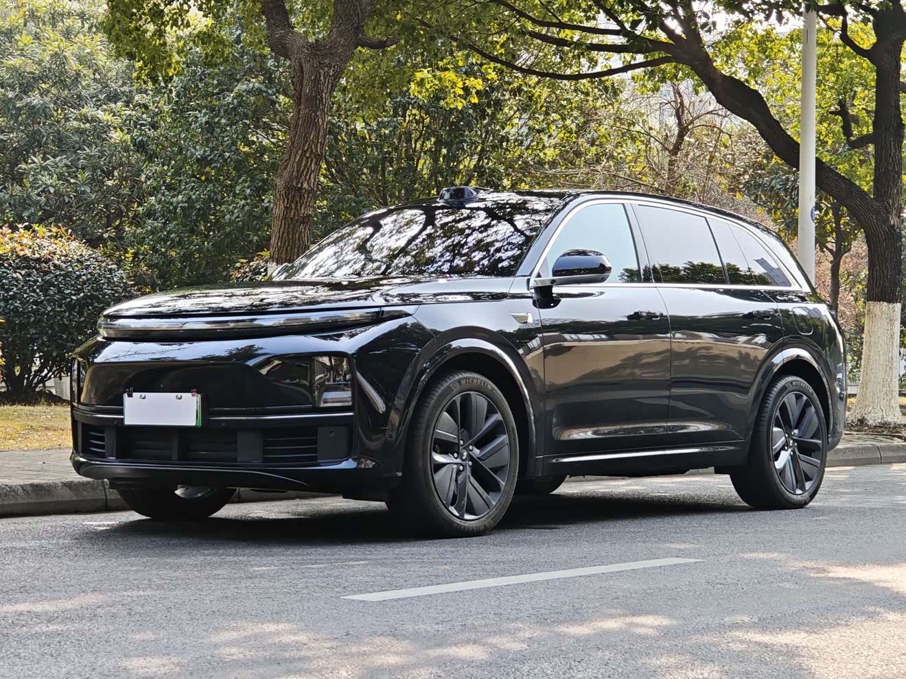 Li L7 2023 汽车图片 