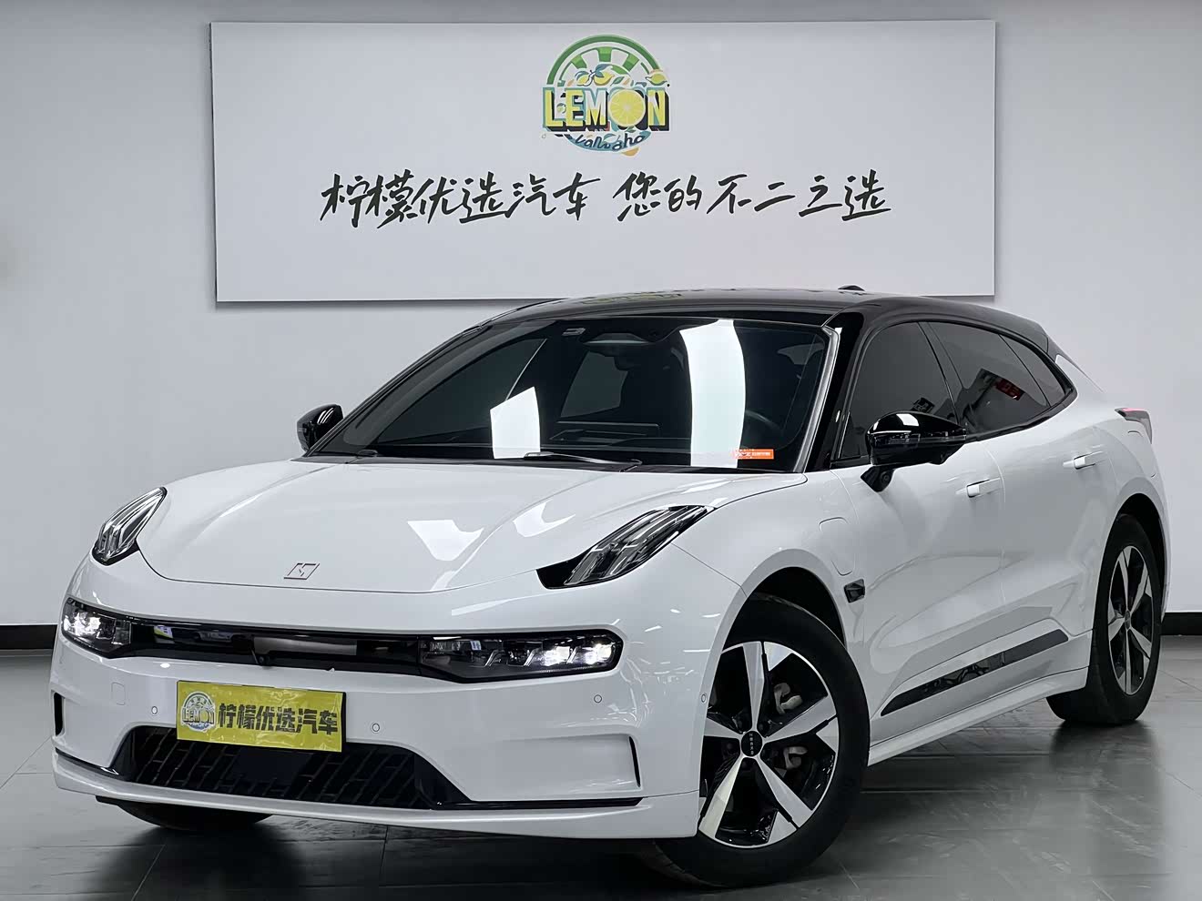 Zeekr 001 2023 汽车图片 