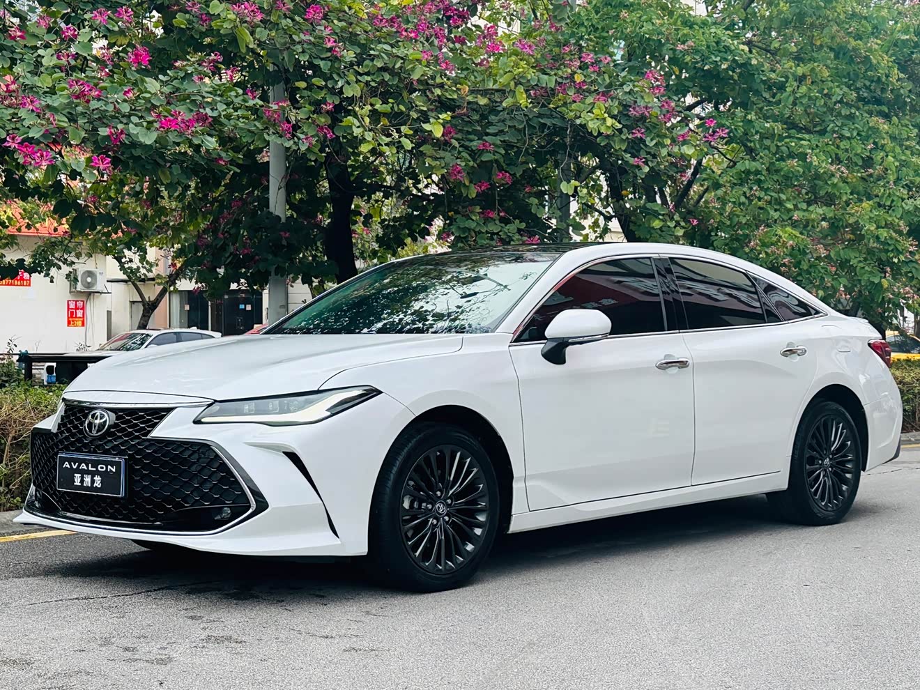 Toyota Avalon 2022 car image 