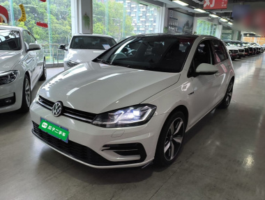Volkswagen Golf 2019 Volkswagen Golf 2019 car image