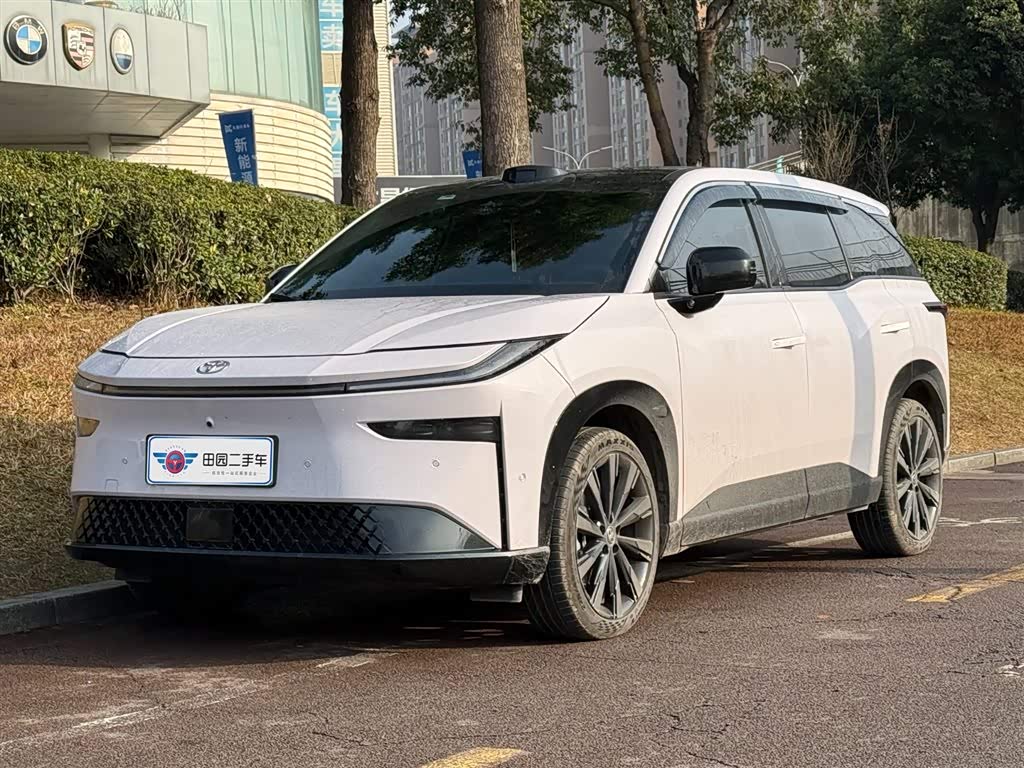 Toyota Bozhi 3X 2025 汽车图片 
