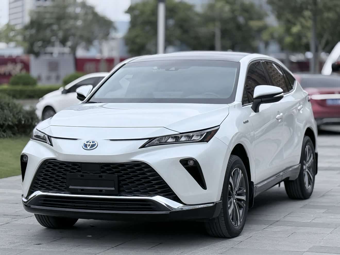 Toyota Venza 2023 汽车图片 