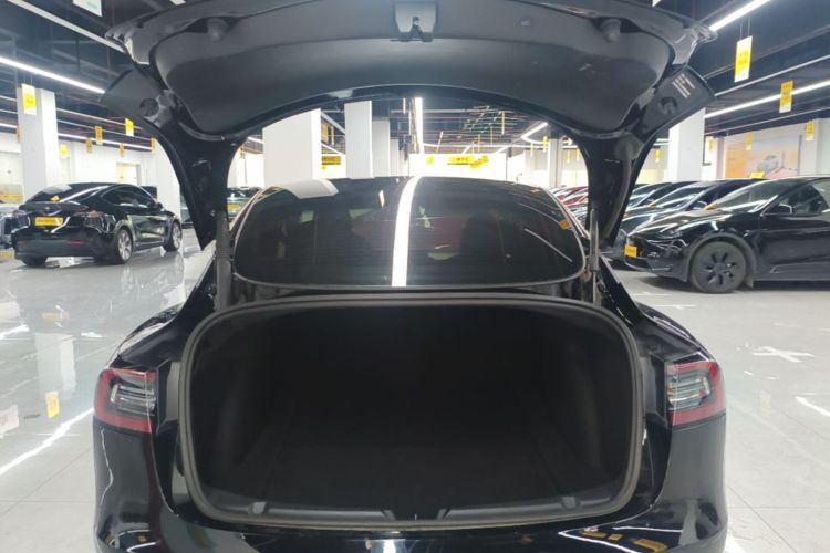 Tesla Model 3 2021 #19 Tesla Model 3 2021 car image #19