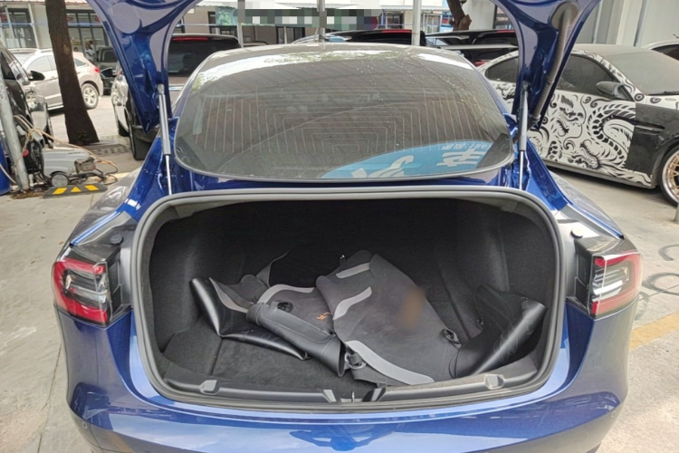 Tesla Model 3 2020 car image #19