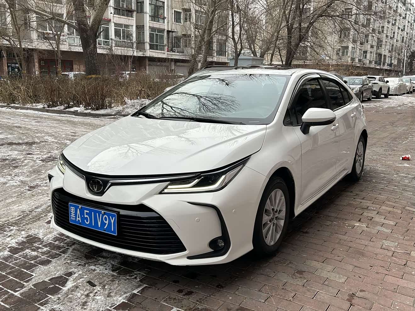 Toyota Corolla 2022 Toyota Corolla 2022 汽车图片