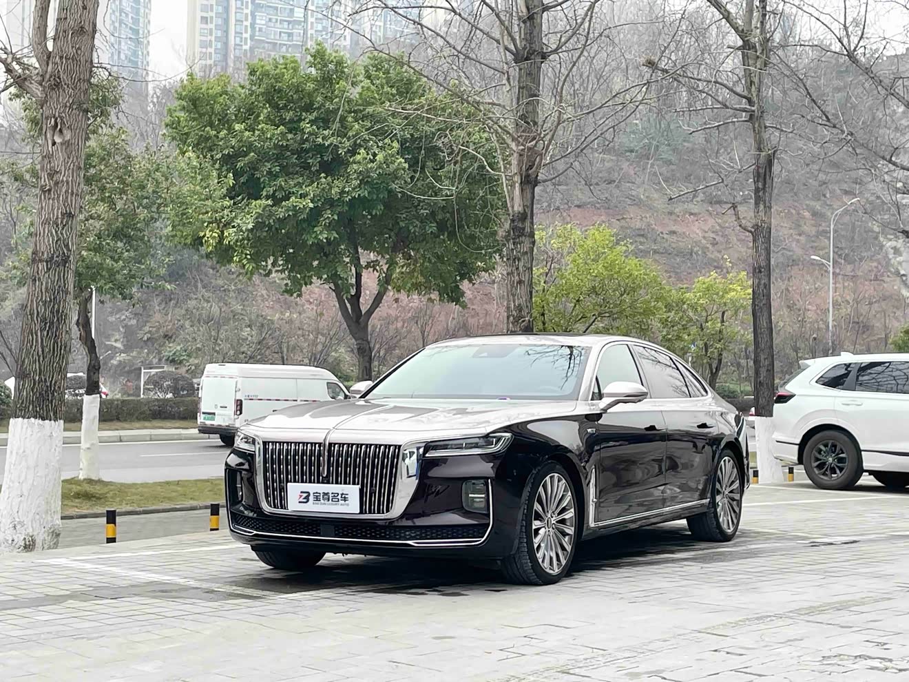 HongQi H9 2022 imagem de carro 