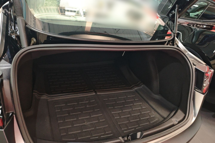 Tesla Model 3 2021 #19 Tesla Model 3 2021 car image #19