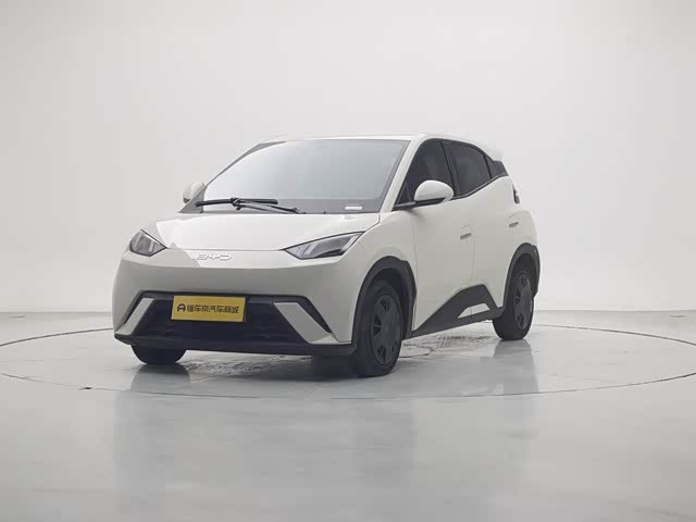 BYD Seagull 2025 car image 