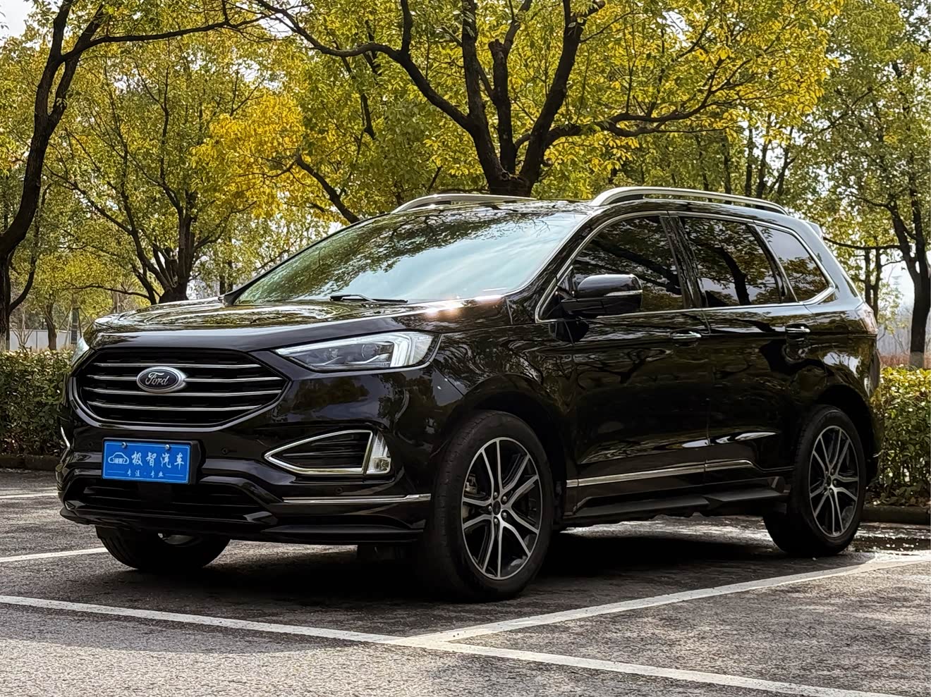 Ford Edge 2020 car image 