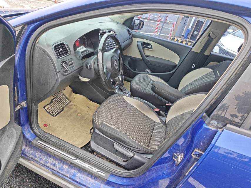 Volkswagen Polo 2013 car image #8