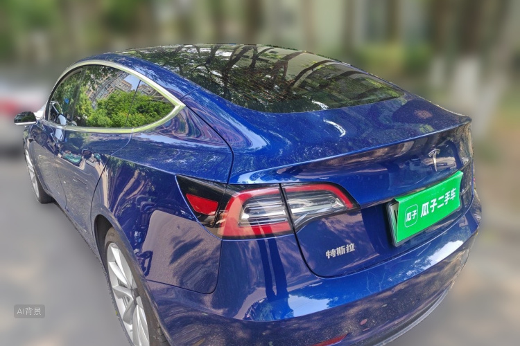 Tesla Model 3 2020 car image #5