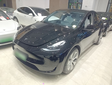 Tesla Model Y 2022 Tesla Model Y 2022 car image