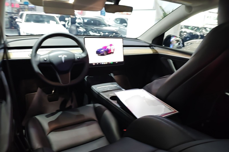Tesla Model Y 2022 car image #10