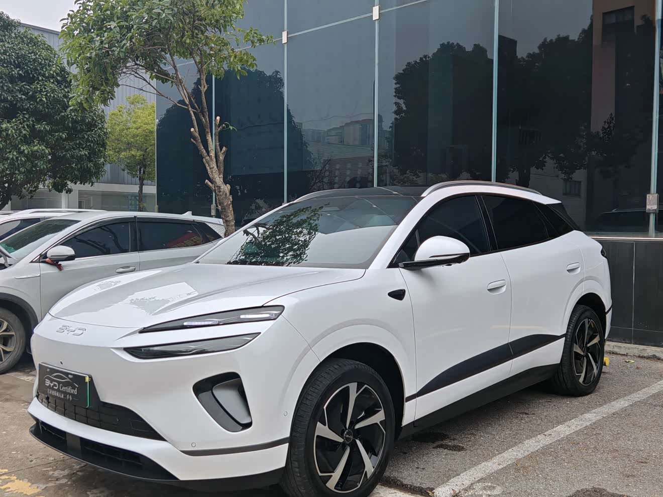 BYD Sea Lion 06 New Energy 2025 car image 