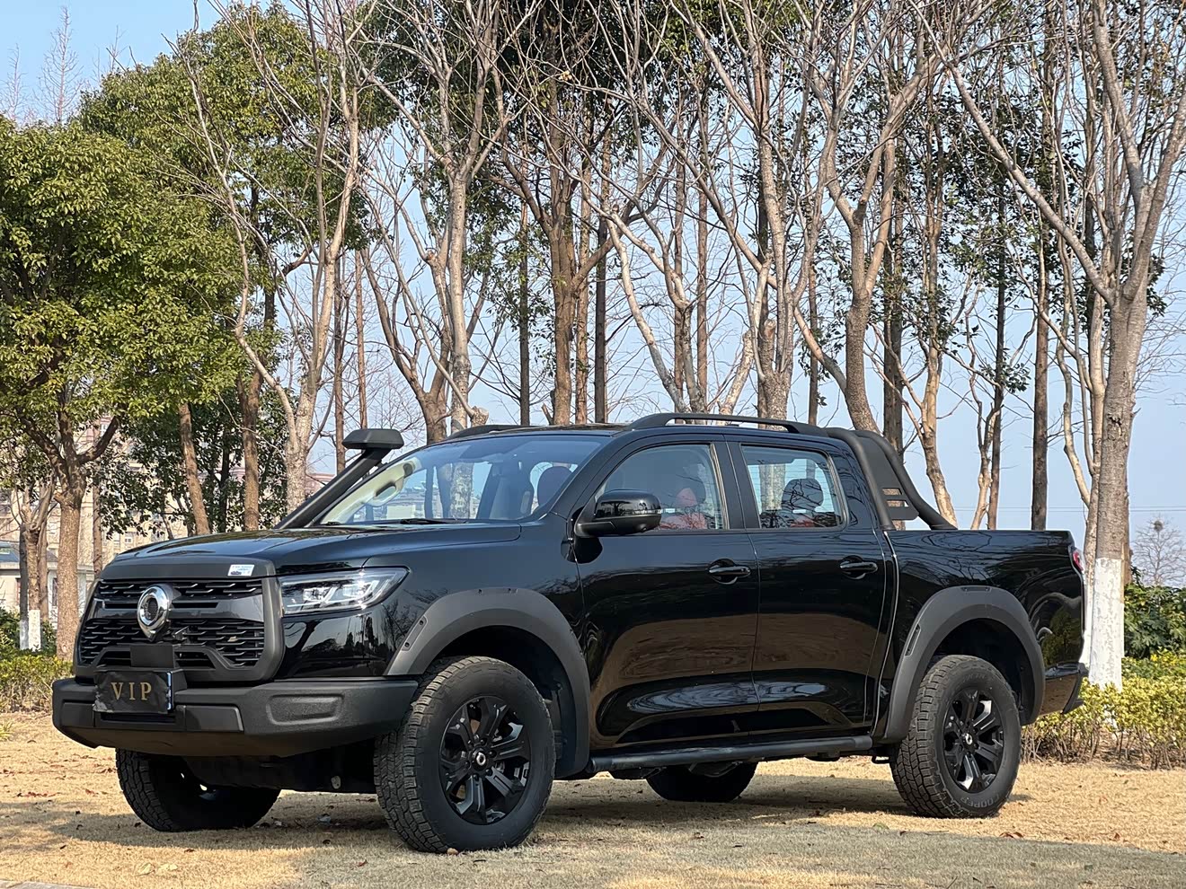 Great Wall Poer 2023 Great Wall Poer 2023 car image