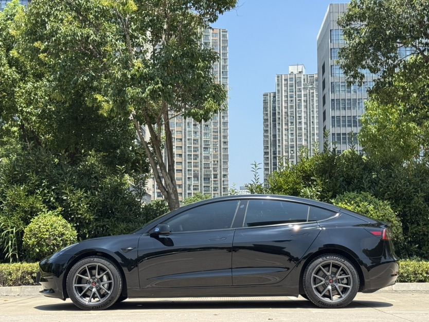 Tesla Model 3 2021 #3 Tesla Model 3 2021 car image #3