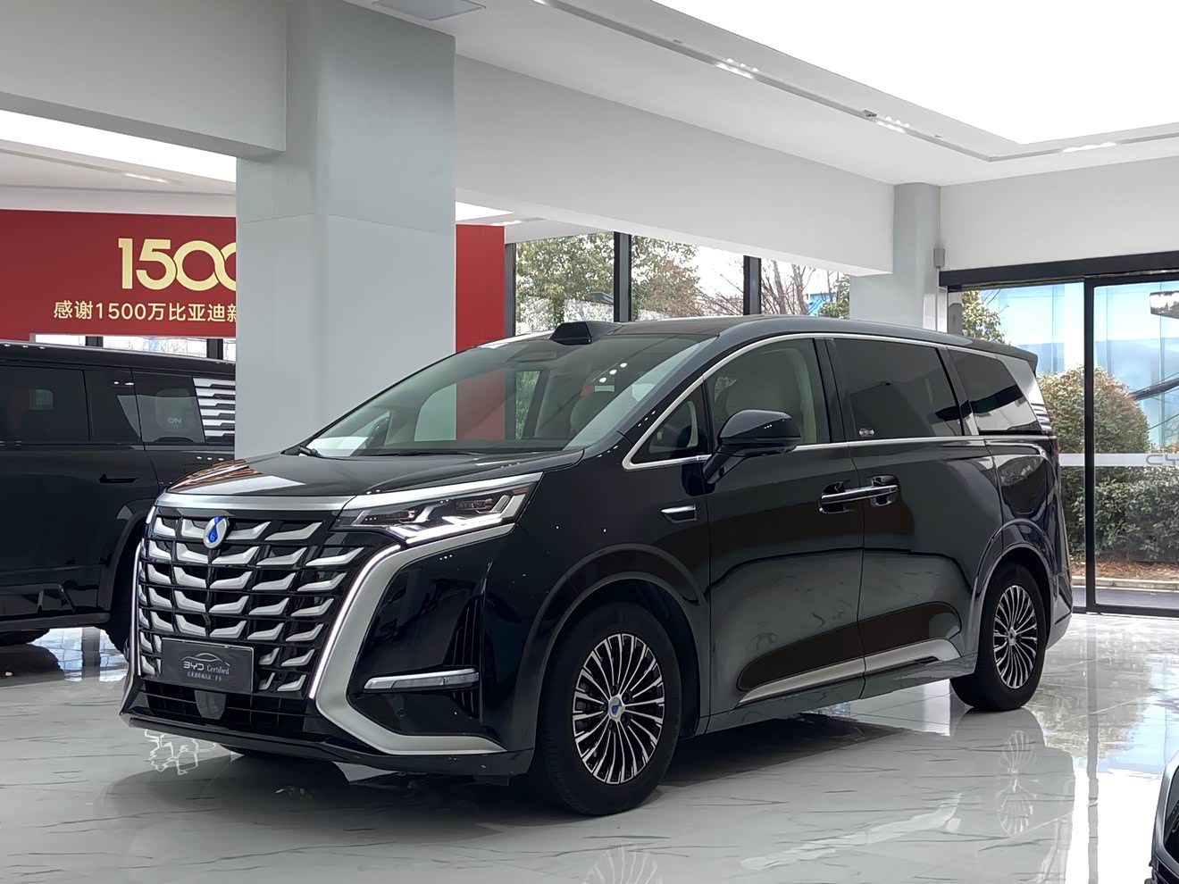 Denza D9 2024 car image 