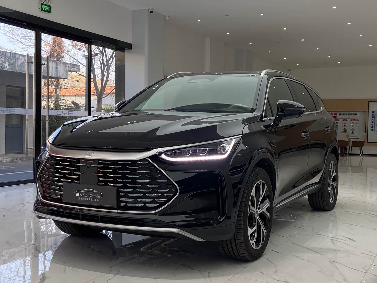 BYD Tang New Energy 2025 car image 