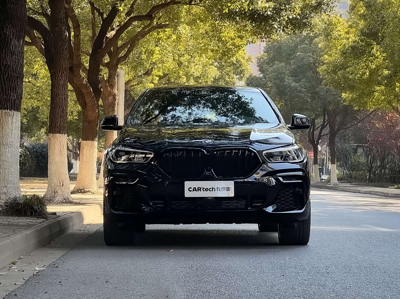 BMW X6 2023 car image 