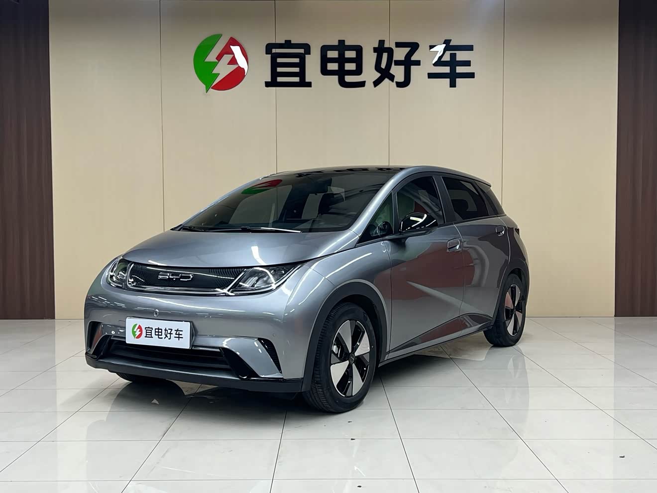 BYD Dolphin 2024 car image 