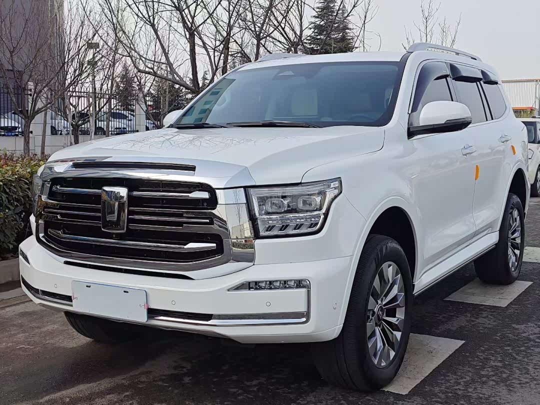 Tank 500 2023 汽车图片 