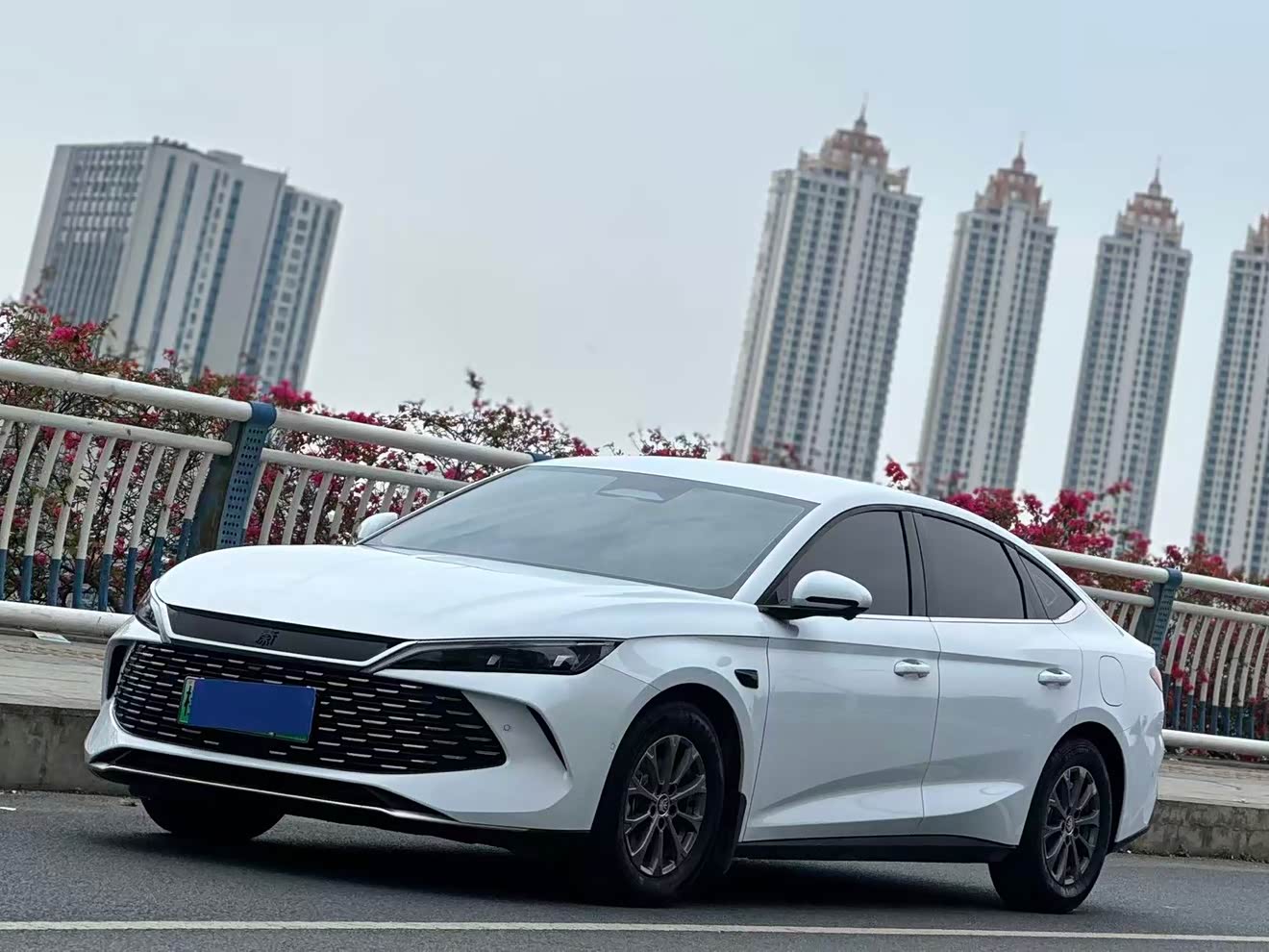BYD Qin L 2025 immagine di auto 