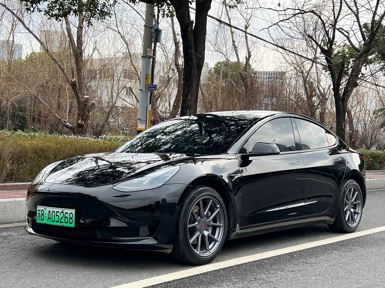 Tesla Model 3 2023 汽车图片 