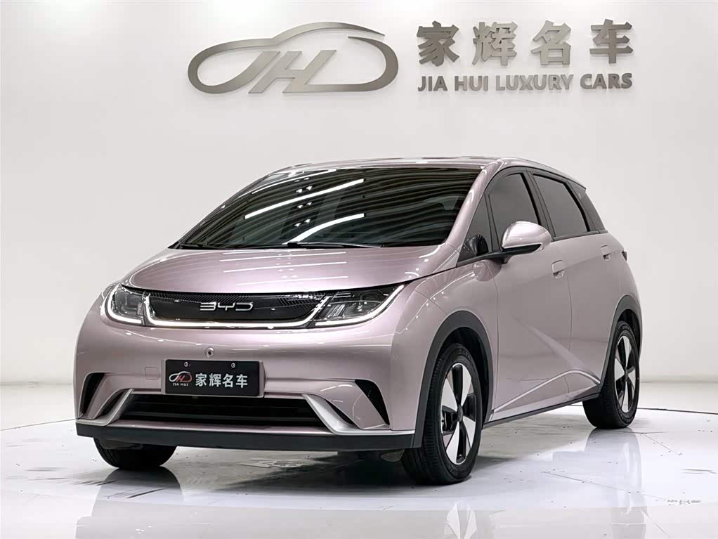 BYD Dolphin 2024 صورة سيارة 