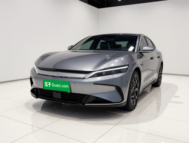 BYD Han 2022 car image 