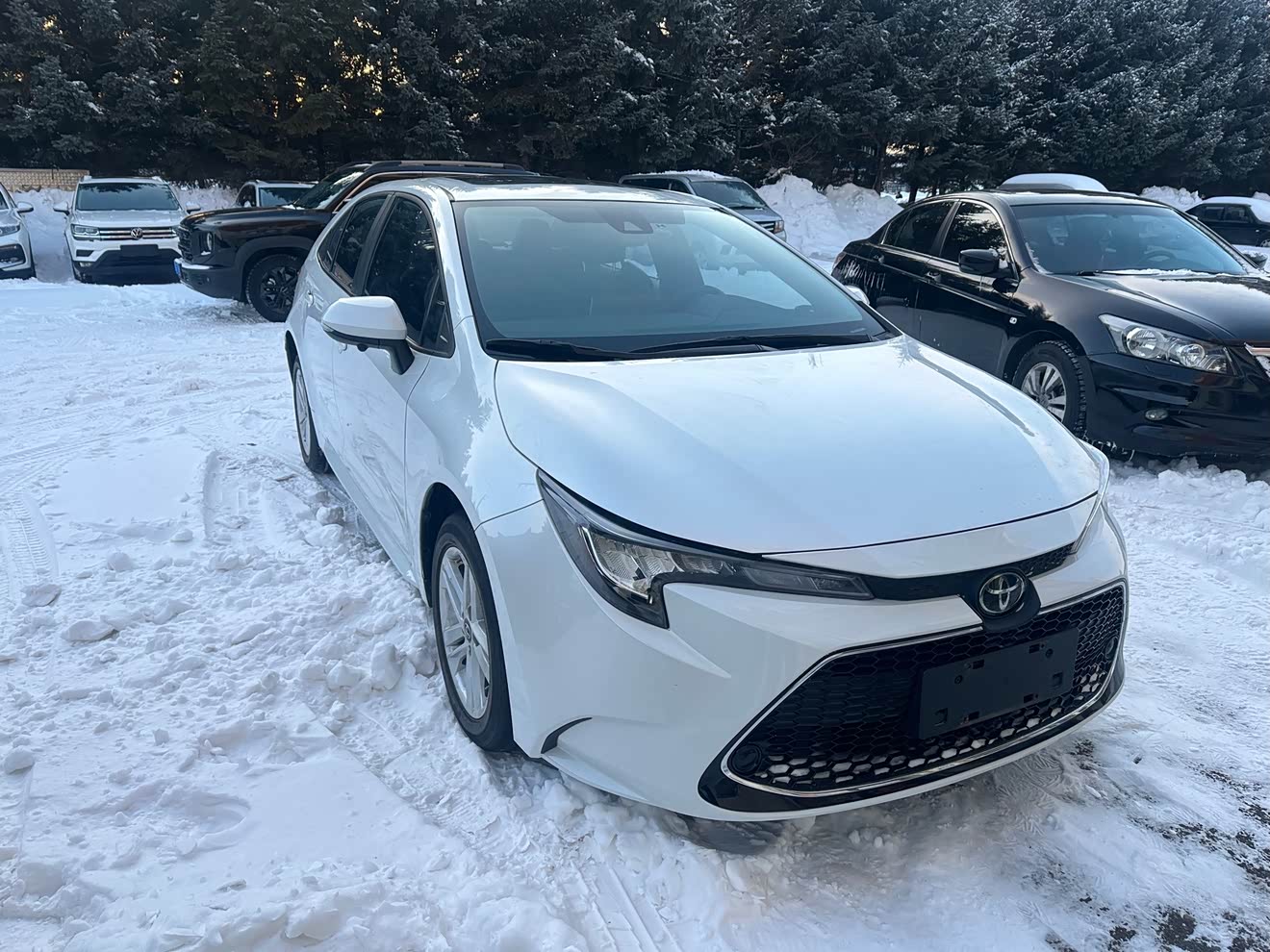Toyota Corolla 2022 car image 