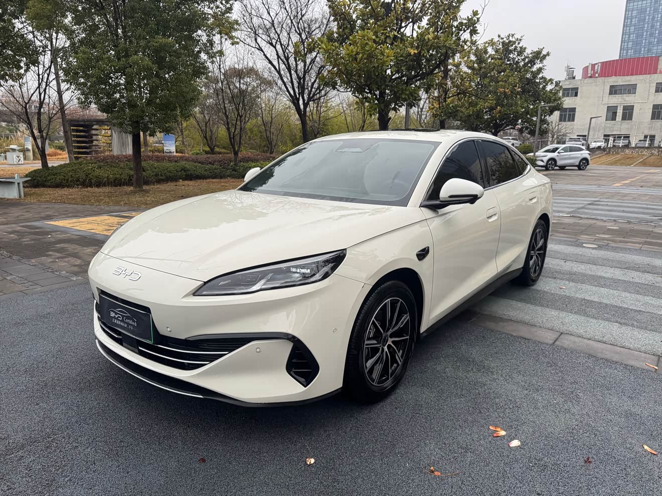 BYD Seal 06 New Energy 2025 car image 