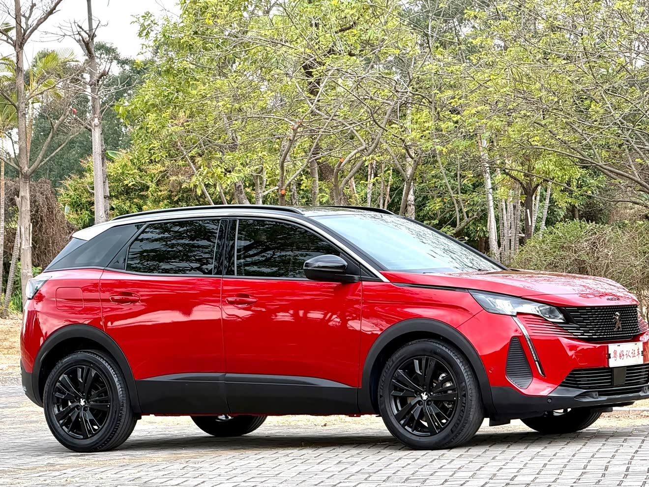 Peugeot 4008 2023 汽车图片 