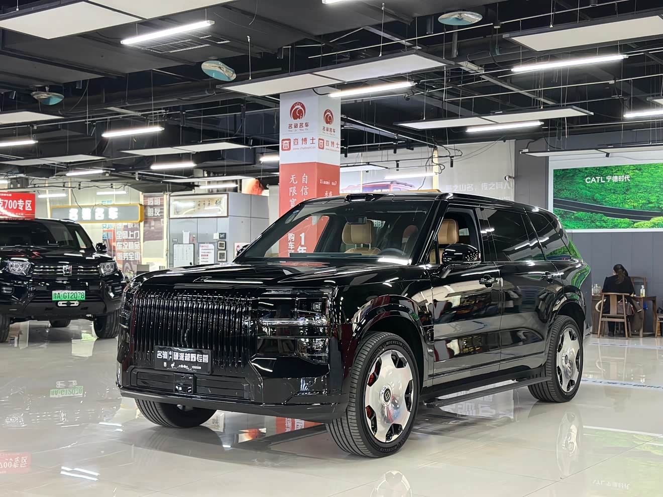 Zeekr 9X 2026 汽车图片 