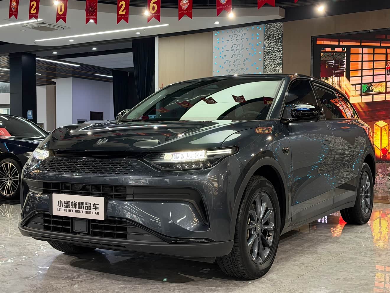 Leapmotor C11 2024 汽车图片 