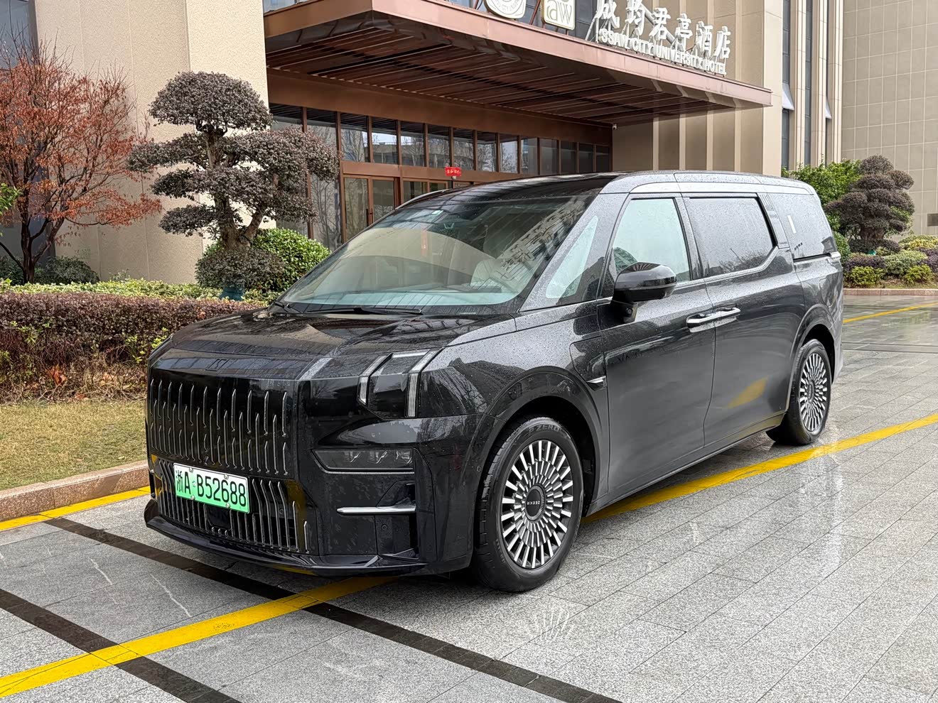 Zeekr 009 2023 汽车图片 