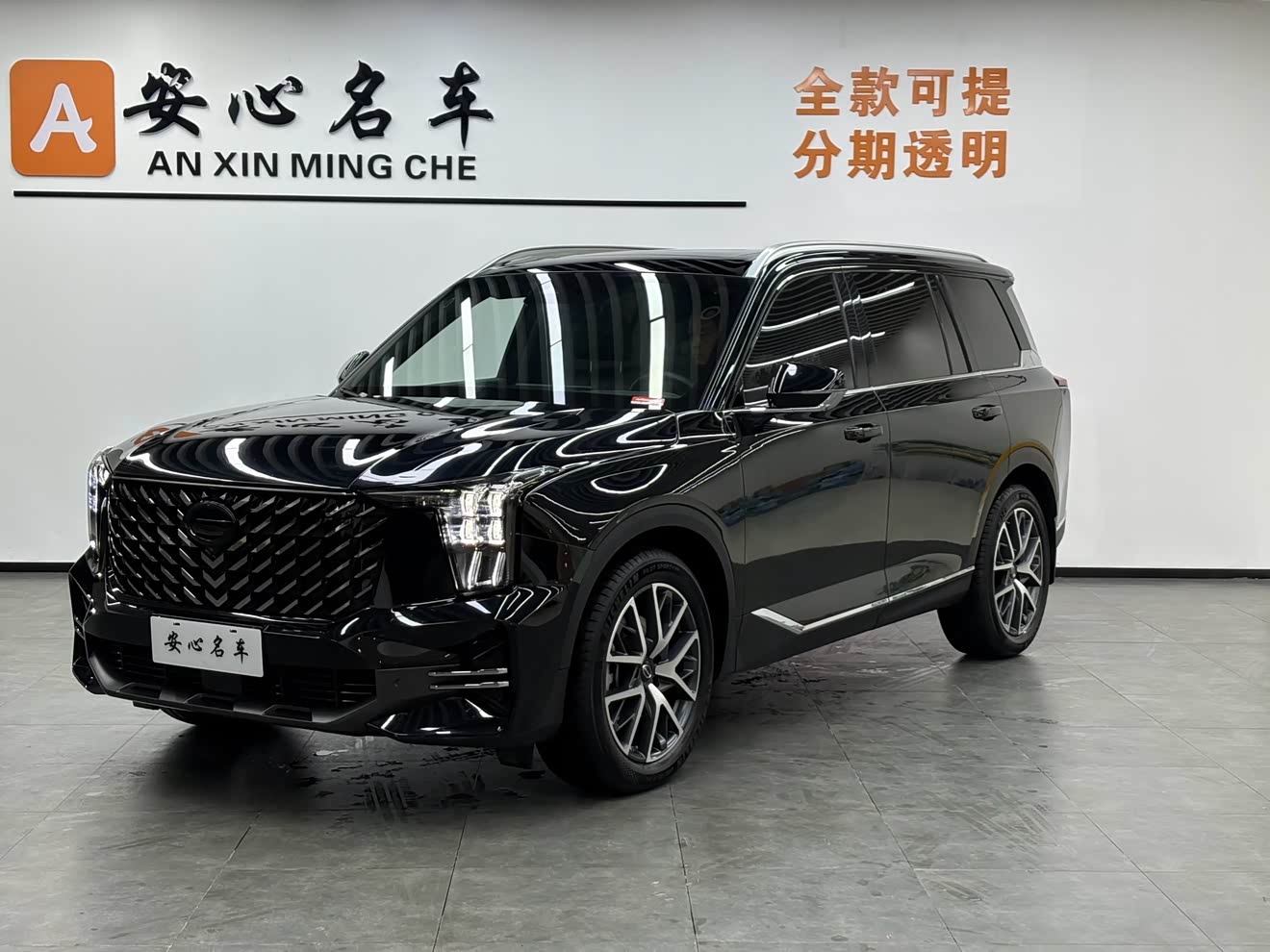 GAC Trumpchi GS8 2023 汽车图片 