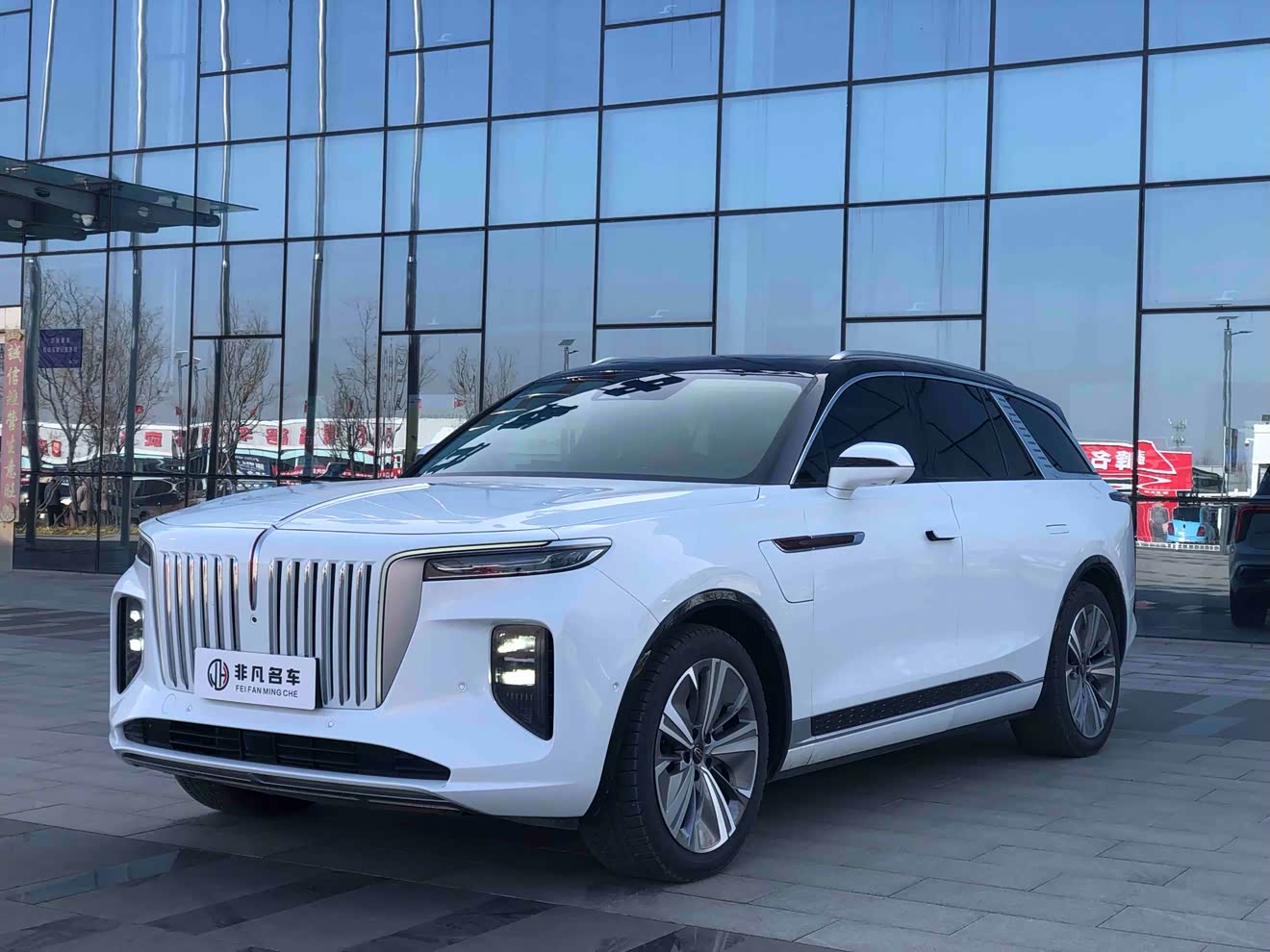 HongQi E-HS9 2021 car image 