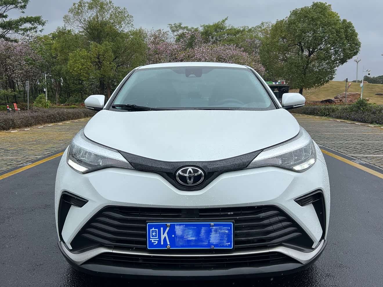 Toyota Izoa 2021 汽车图片 