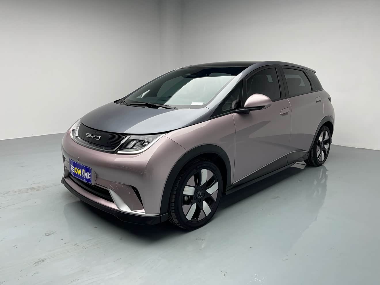 BYD Dolphin 2022 صورة سيارة 