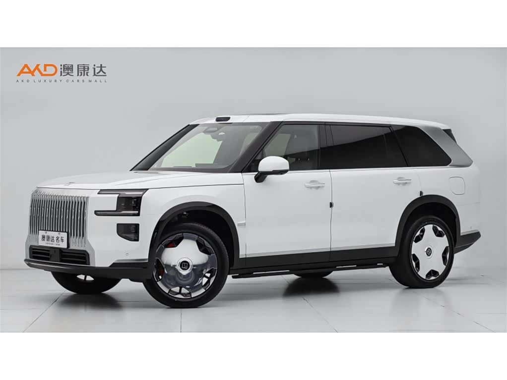 Zeekr 9X 2026 汽车图片 