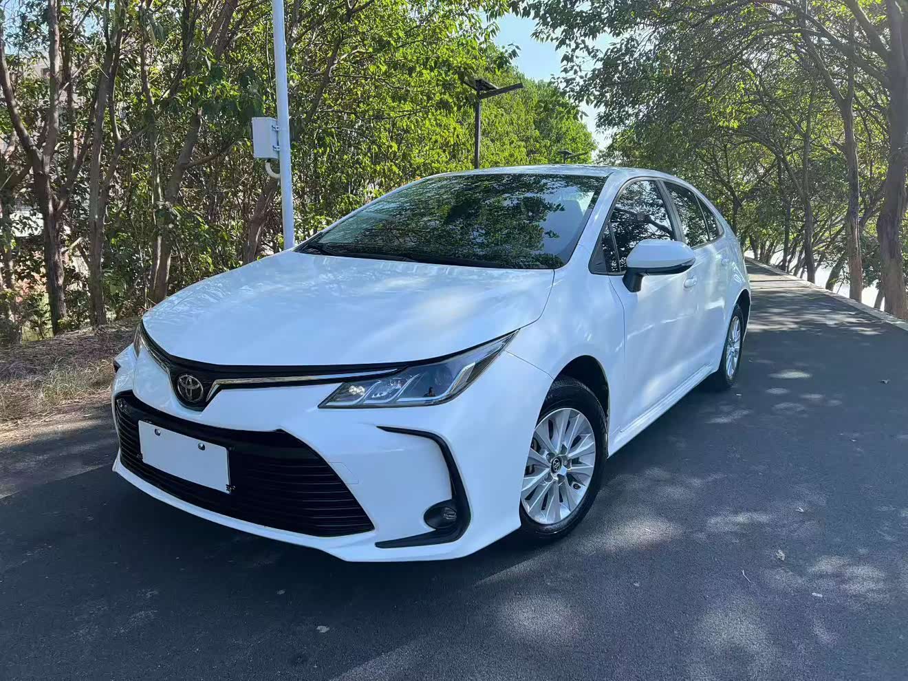 Toyota Corolla 2020 car image 