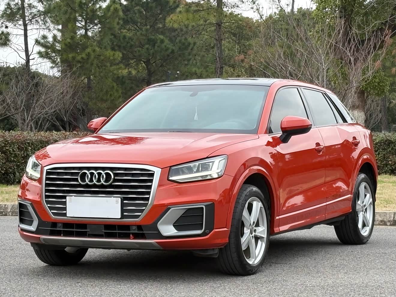 Audi Q2L 2019 汽车图片 