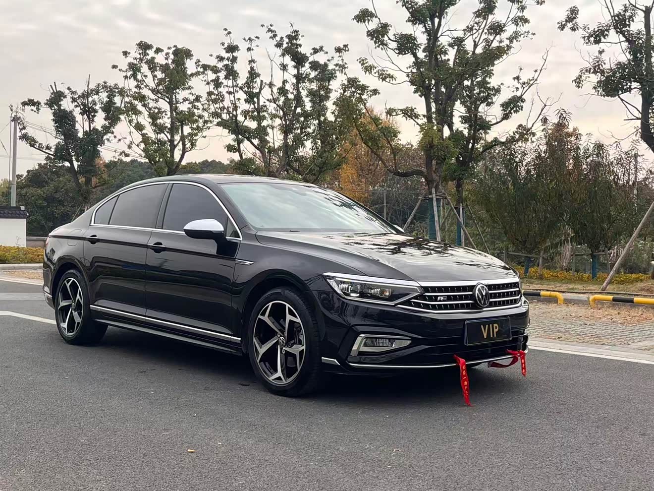 Volkswagen Magotan 2023 car image 