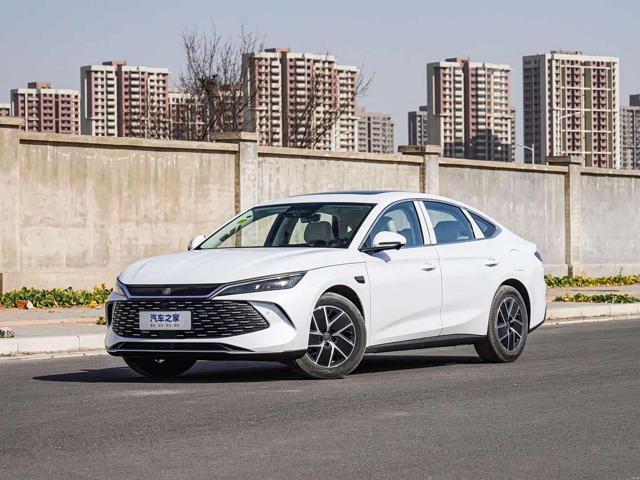 BYD Qin L 2025 immagine di auto 