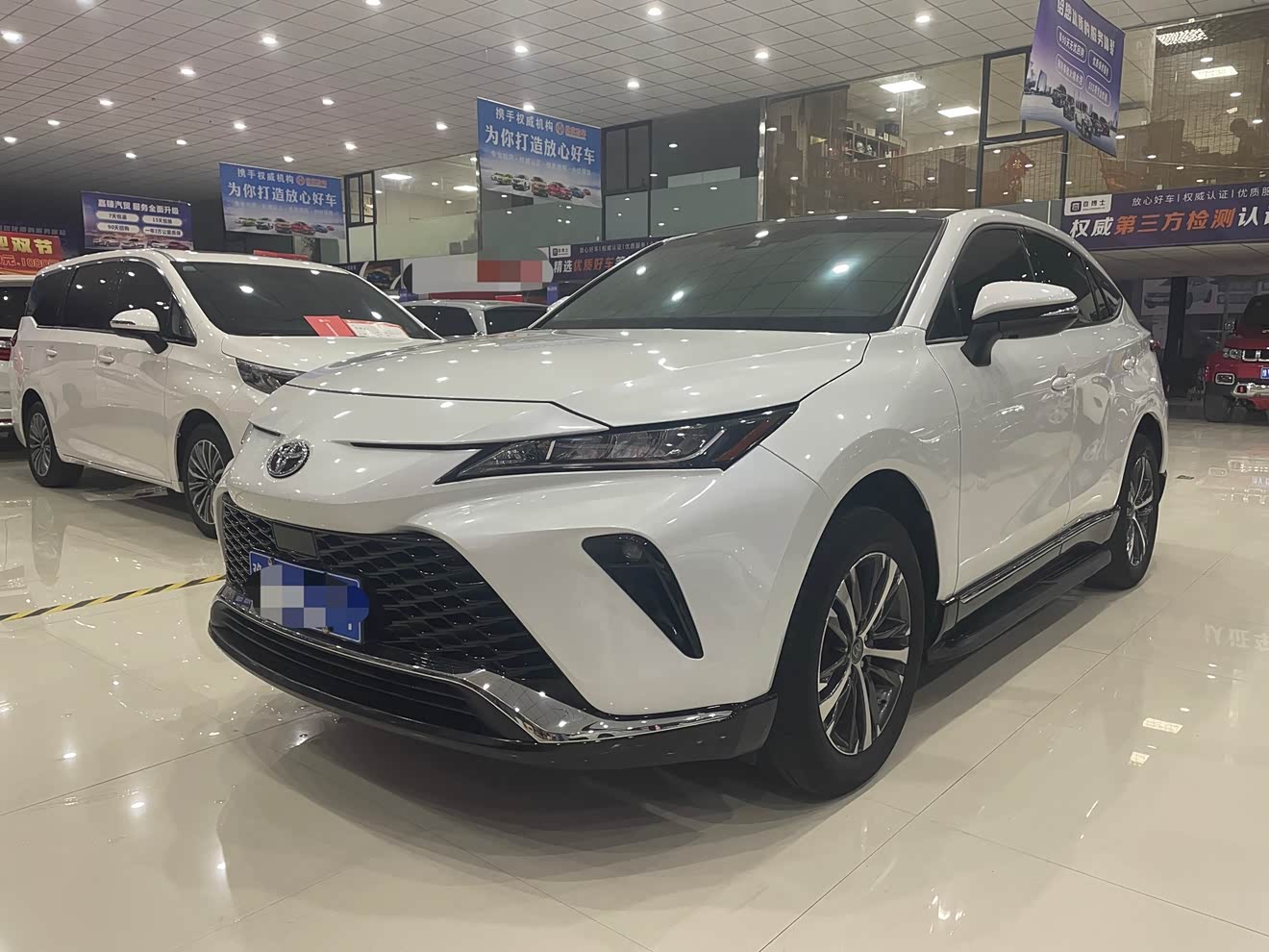 Toyota Venza 2023 汽车图片 