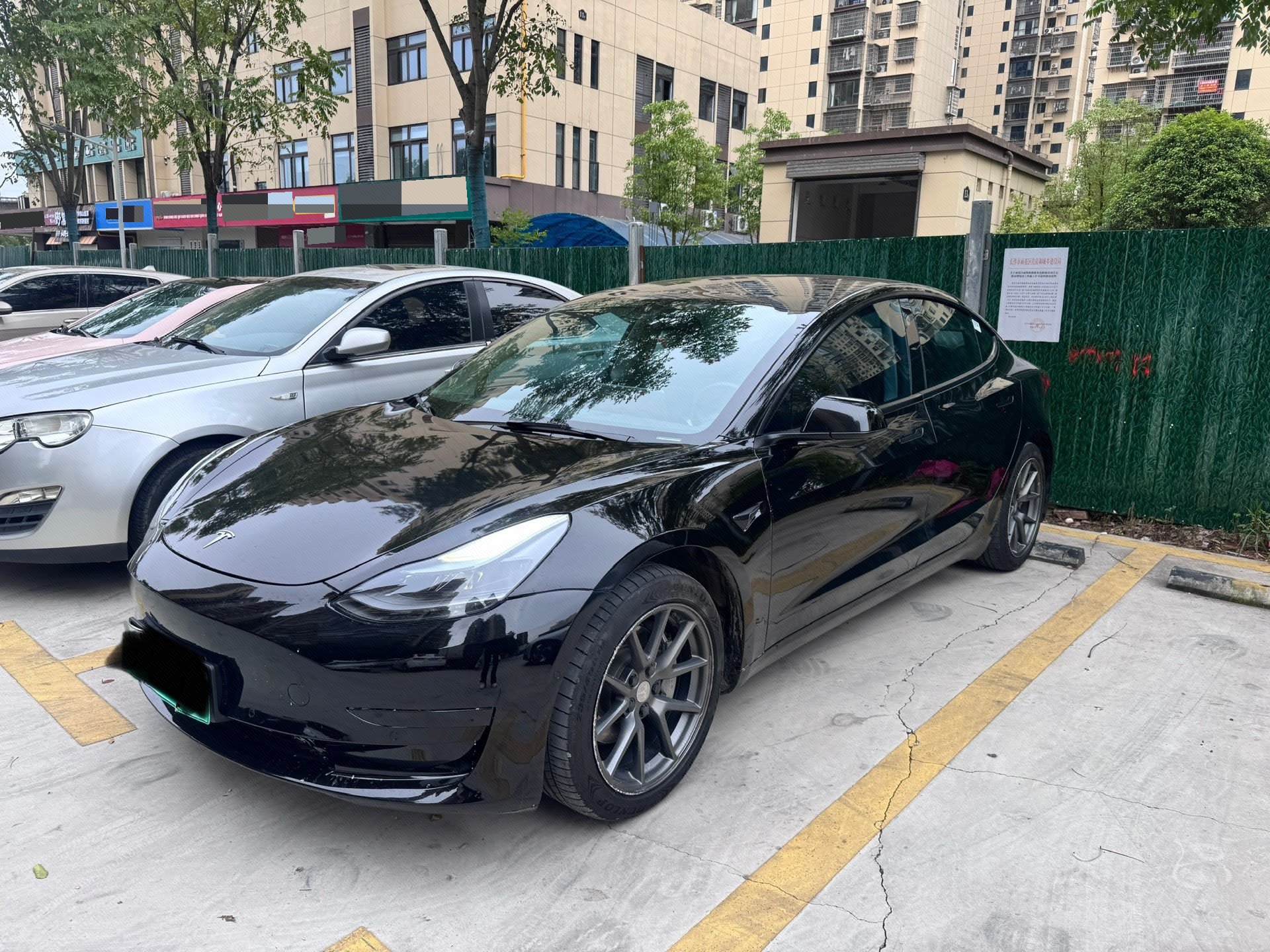 Tesla Model 3 2021 Tesla Model 3 2021 car image
