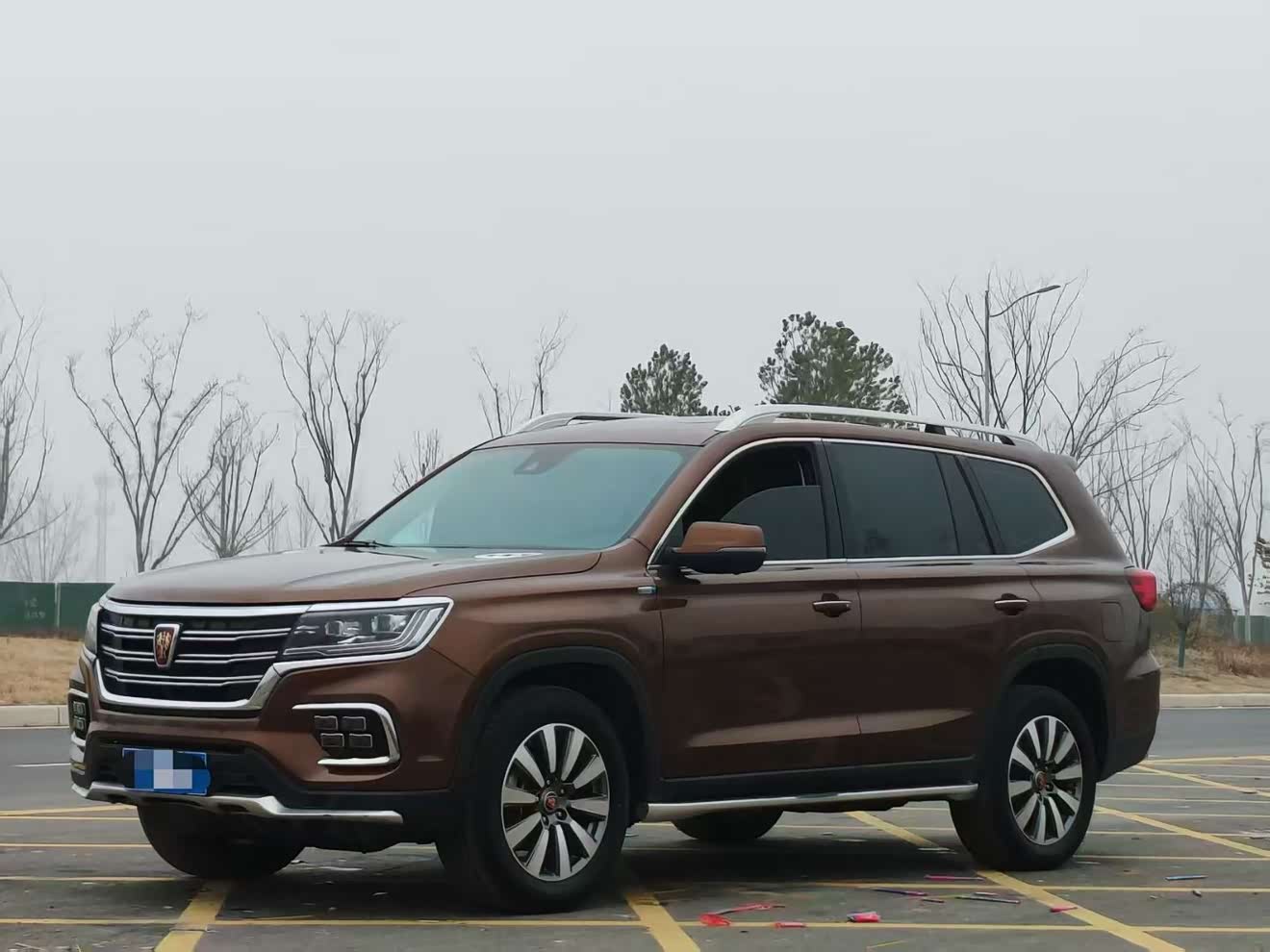 Roewe RX8 2019 汽车图片 