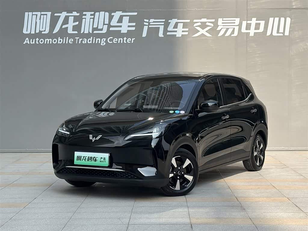 Wuling Binguo PLUS 2026 汽车图片 