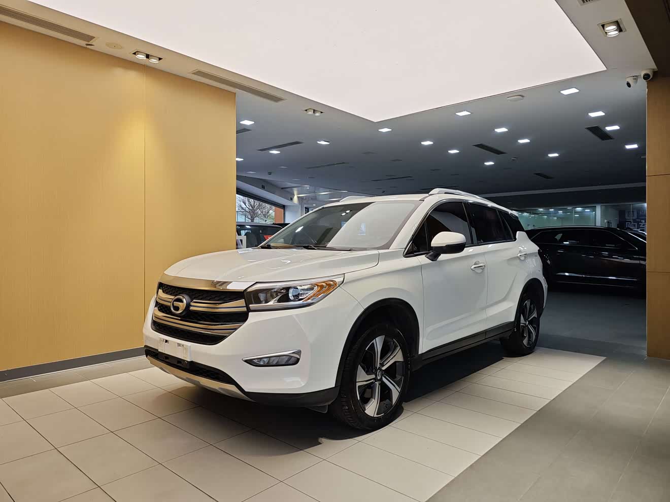 GAC Shirui PHEV 2019 汽车图片 